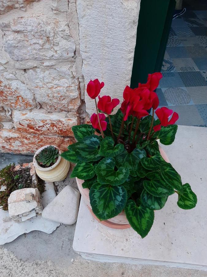 Casa Porta Verde Bale Luaran gambar